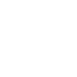 The National Football League
