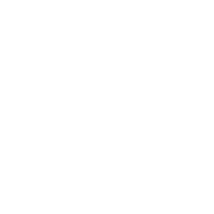 Connector