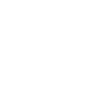 Fing