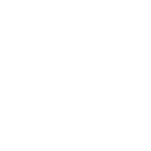 Birds & Bloom