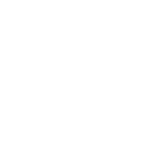 Camera widget