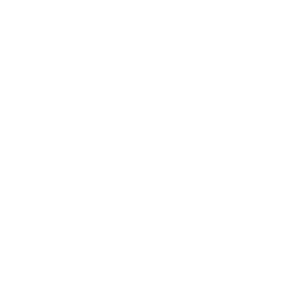 Wemo Outdoor Plug