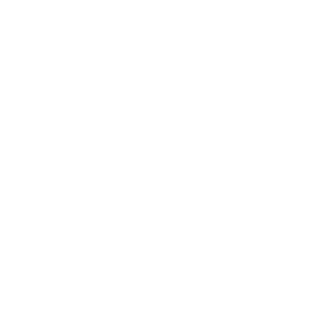 The Money Guy Show
